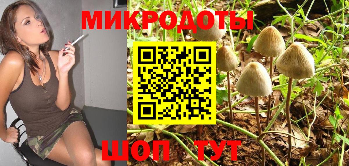 Дубна  Псилоцибиновые грибы Psilocybe  Вход с VPN 