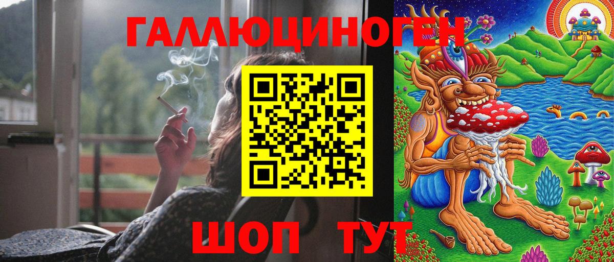 Псилоцибиновые грибы Cubensis Дубна