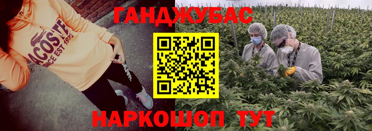 Бошки Шишки VHQ Дубна